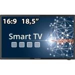 Megasat Camping TV Royal IV 19