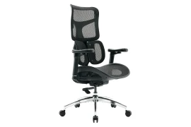 Ergonomischer Bürostuhl für den Schreibtisch – 4D-Anpassung – Spacetronik SPRINGLE 22
