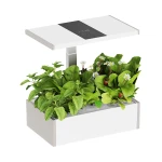 Smarter SMART Garden-Blumentopf 10l in Weiß und Grau mit LCD-Bildschirm für Ihre Lieblingspflanzen das ganze Jahr über Spacetronik SPGC20