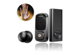 Intelligentes Türschloss ARPHA SP300 + H200 mit Palm Vein Recognition, WiFi und TUYA
